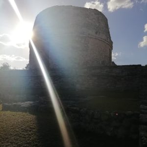 Primerartículoprueba_dineroreal